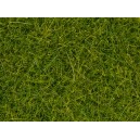 07097 (HO/TT/N) Noch Трава длинная светло-зелёная XL 12 мм, 80 г