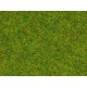 08150 Noch Присыпка флок трава "Весенний луг" 2,5 мм, 120 г